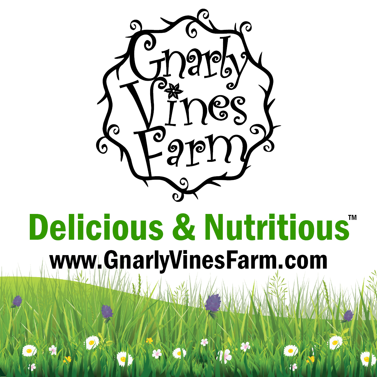Gnarly Vines Food Truck | Food Trucks In | Tiverton RI