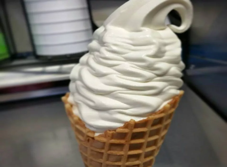 Madagascar Vanilla Waffle Ice Cream Cone