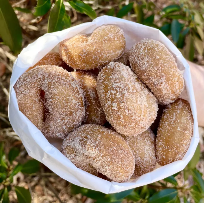 cinnamon sugar mini donuts