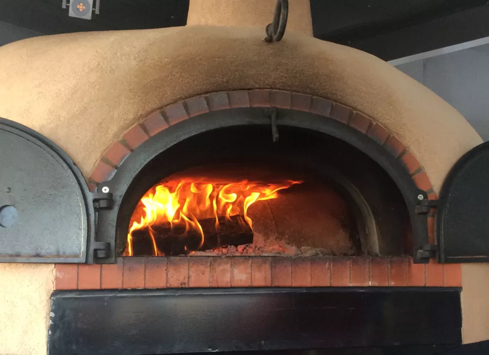 Wood fire oven